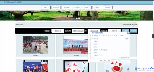 SpringBoot瀕危動物保護(hù)公益網(wǎng)站系統(tǒng)設(shè)計(jì)與實(shí)現(xiàn)